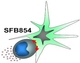 SFB 854 Logo